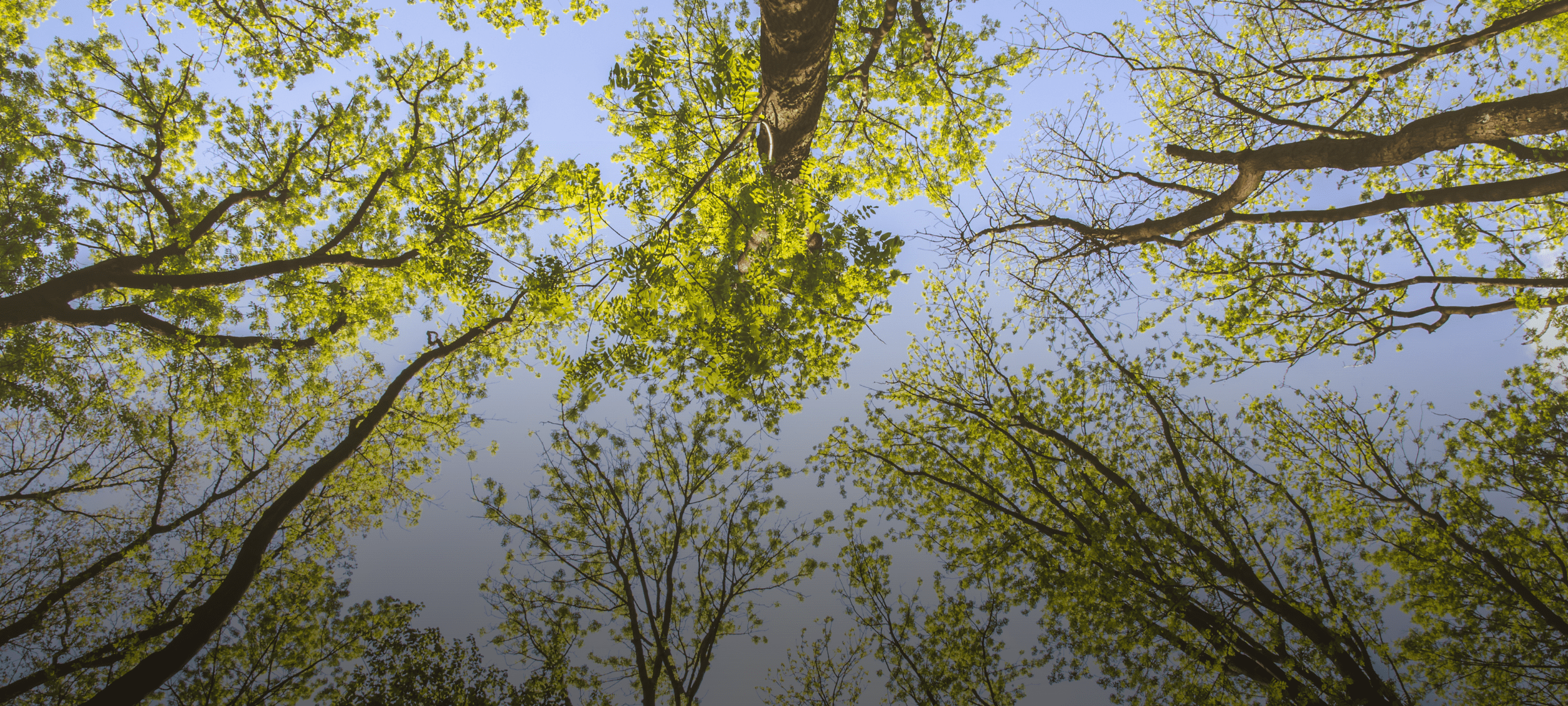 IOT Air Quality Sensors